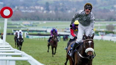 cheltenham market movers|Cheltenham Market Movers – Where is the early money going.